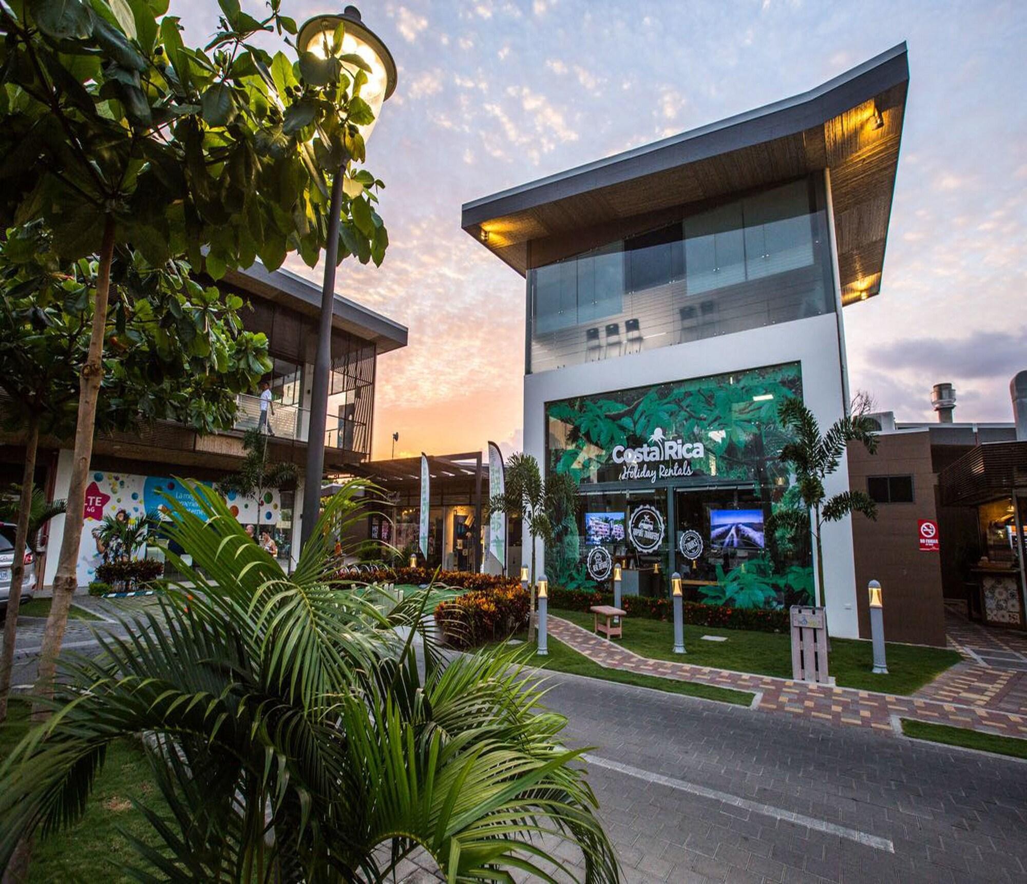 Vista Lobby Macaws Ocean Club