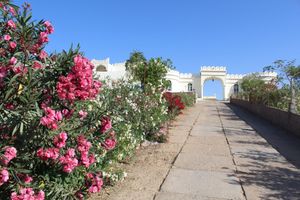 Alojamiento - Gulaab Niwaas Palace