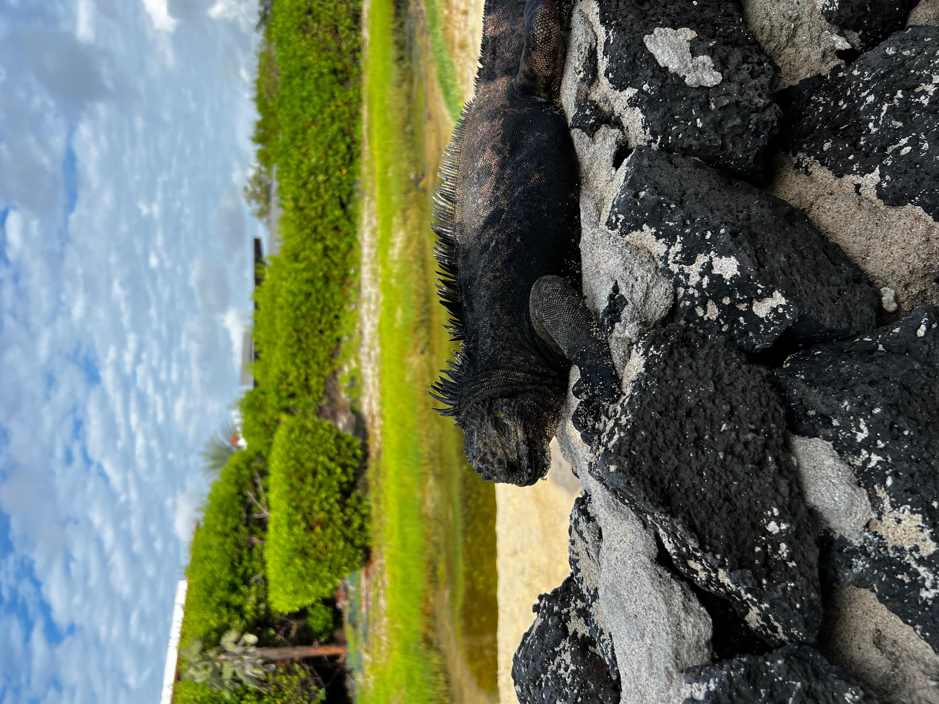 Playa Hostal Casa Cascada