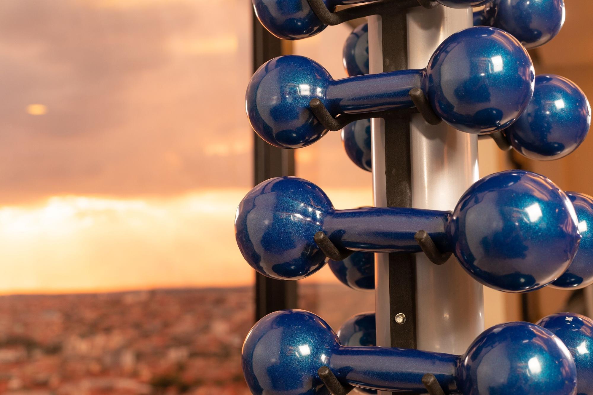 Gimnasio Royal Palm Tower Indaiatuba