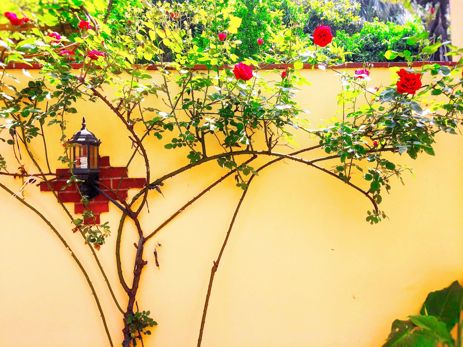 Varios Ottoman's Pearl Hotel