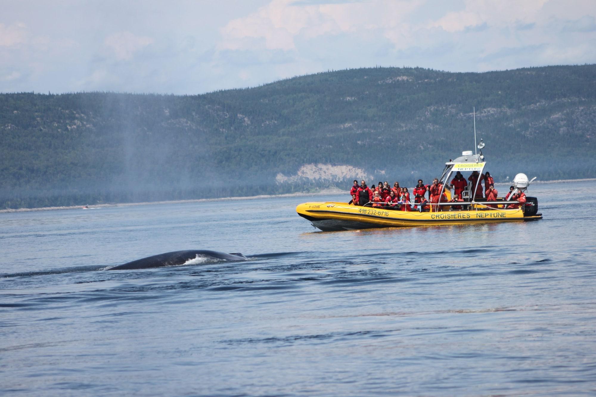 Instalaciones Recreativas Gîte La Bergeronnette