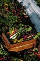 Alojamiento - Chateau St Gerlach