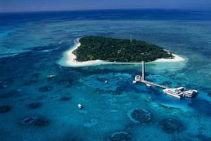 Actividad - Descubrimiento de la Isla Verde con grandes aventuras - ex Cairns