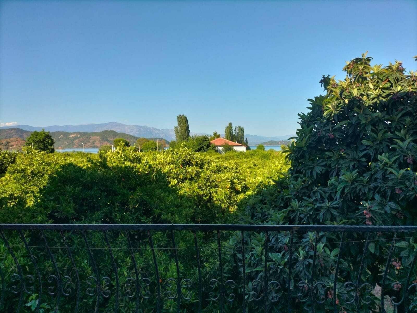 Equipamiento de Habitación Soul Green