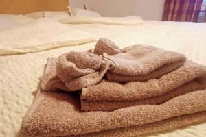 Alojamiento - il Fiore - Hotel Ristorante Pizzeria