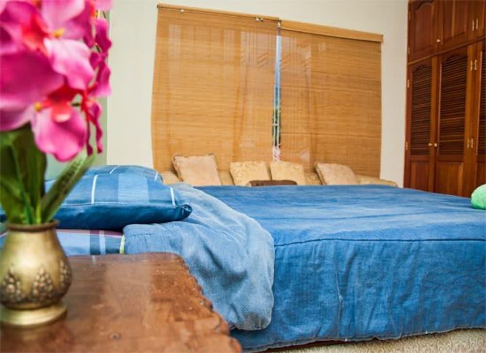 Habitación La Hamaca Hostel