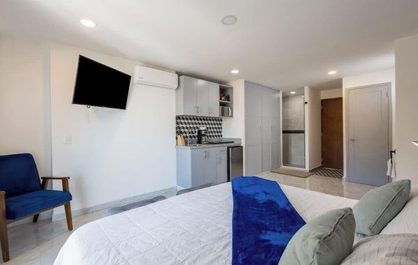 Hotel Room With Ocean-view Rooftop Infinity Pool, AC, Gym - Dog-friendly - Hoteles pet friendly en Cabo San Lucas