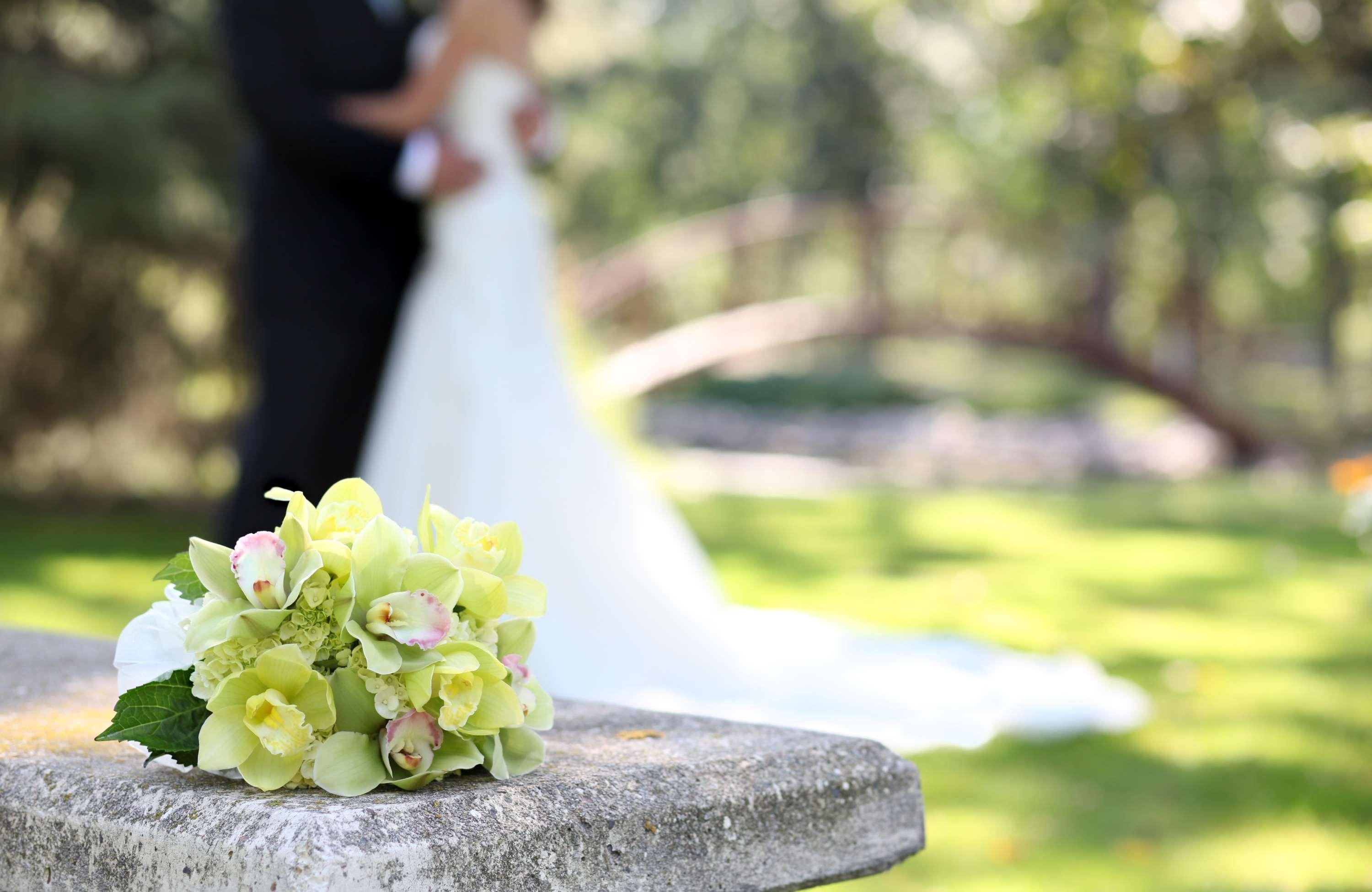 Vista Exterior Country Inn & Suites by Radisson, Freeport, IL