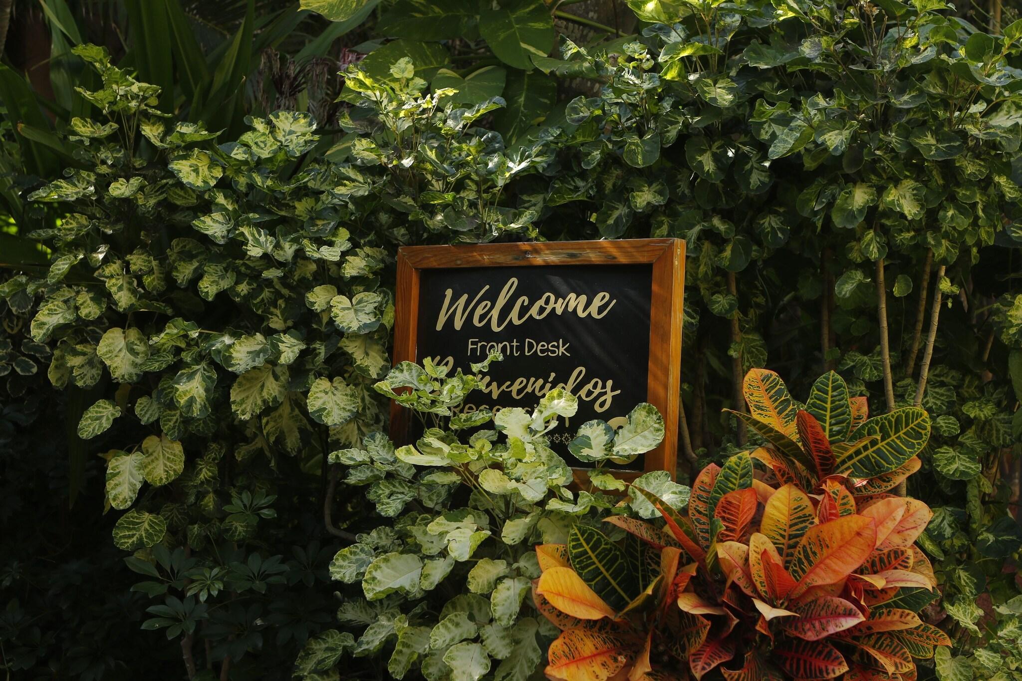 Vista Lobby Villas El Rancho