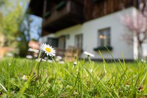 Alojamiento - Schlosswirt zu Anif