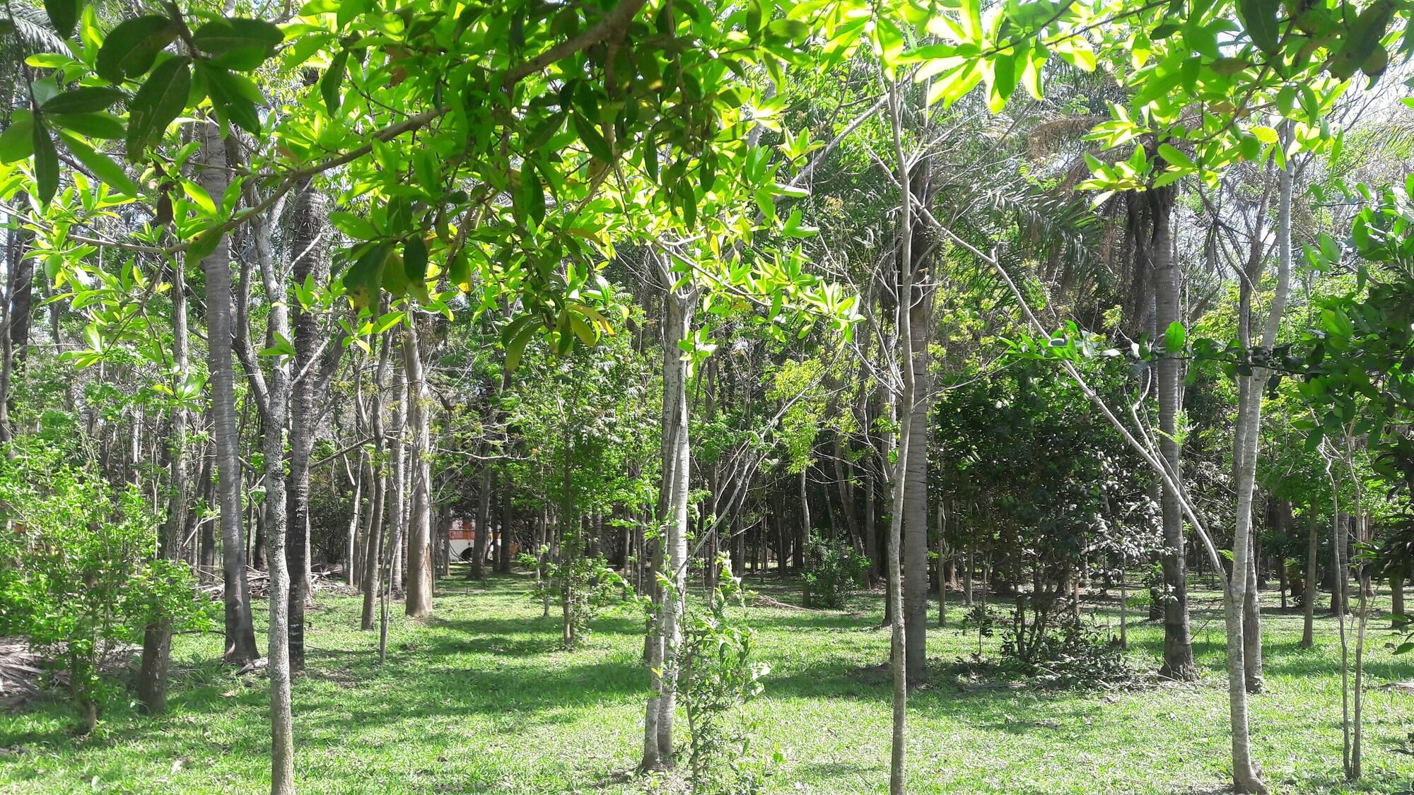 Comodidades del Alojamiento Hotel Rural Jerutì