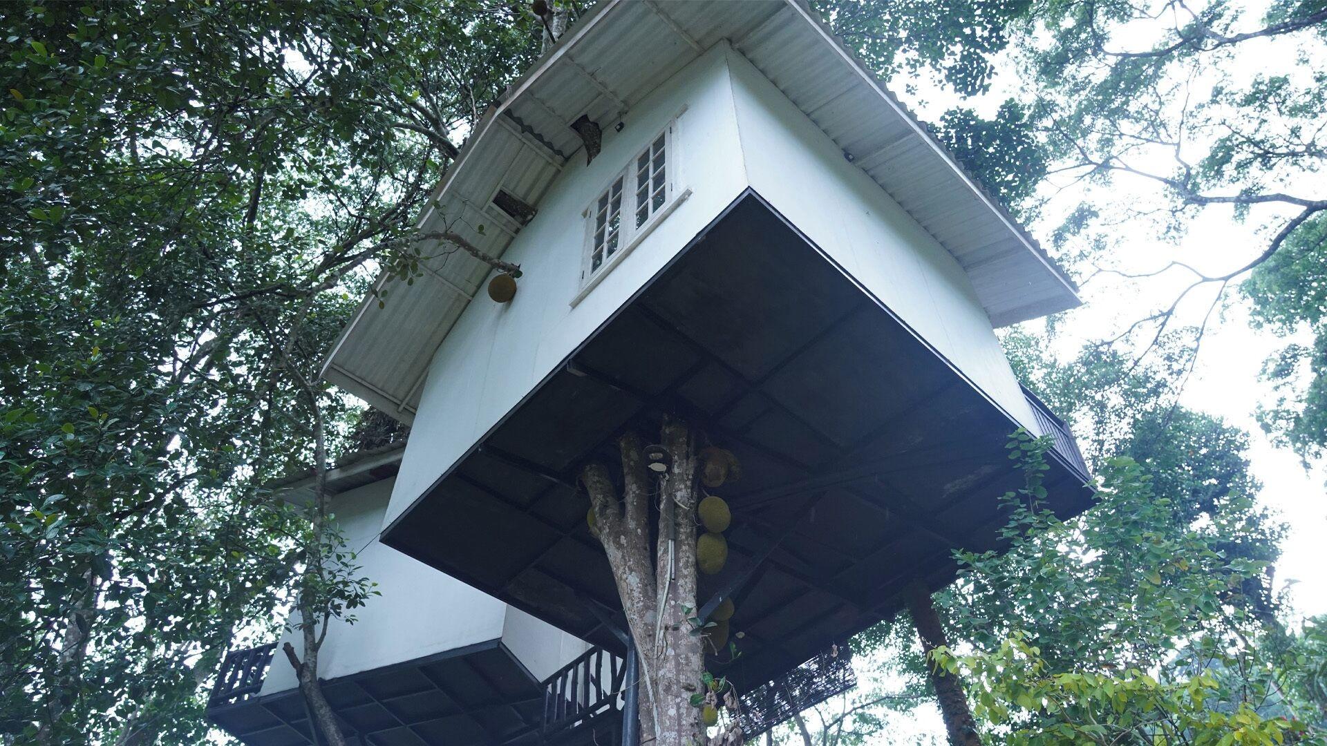 Vista Exterior Tree Nature Resort