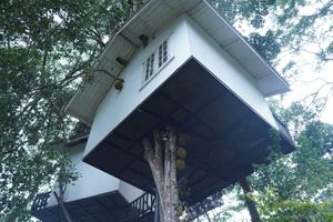 Alojamiento - Tree Nature Resort