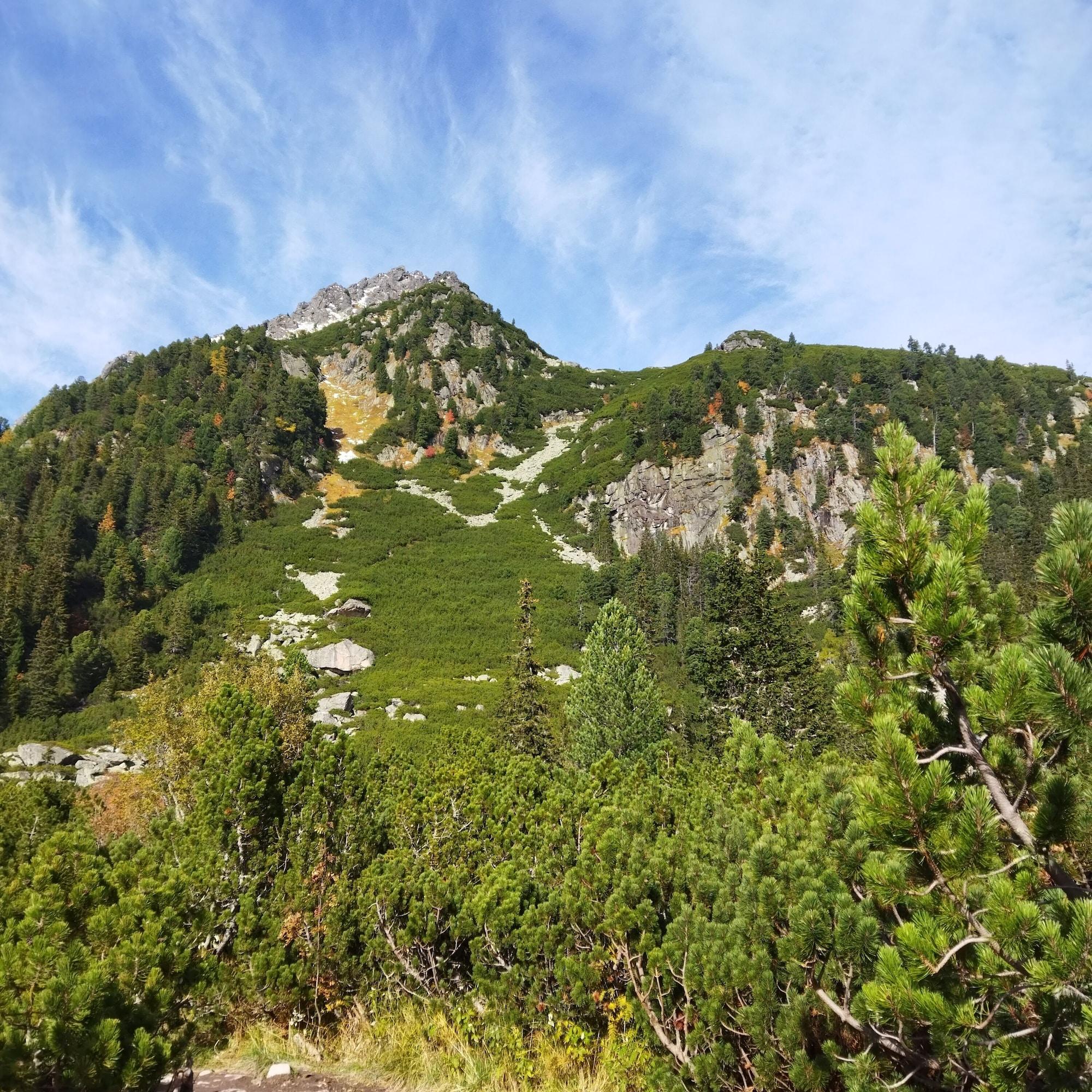 Vista Exterior LUCKY Kitten