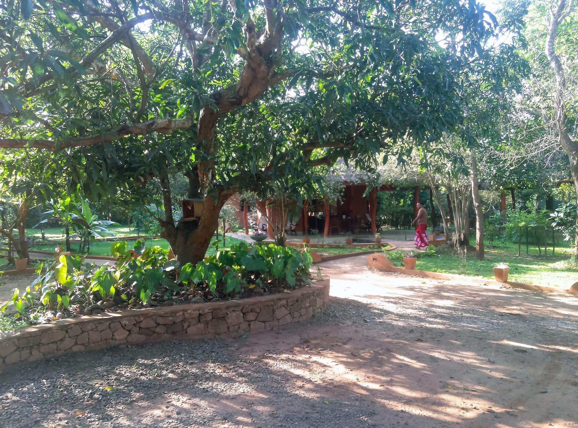 Vista Lobby Kuwera Eco Lodge