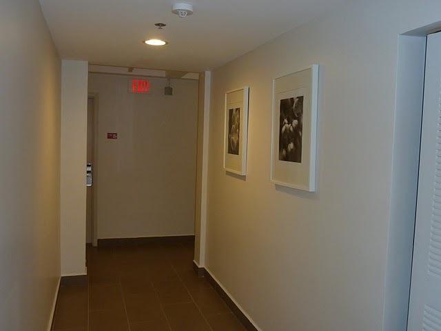 Hotel Collins Hotel
