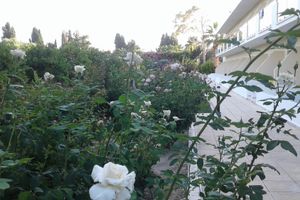Alojamiento - Natura Beach Hotel and Villas