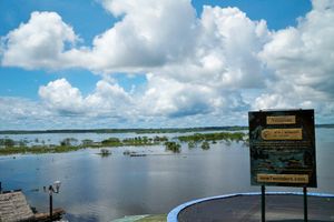 Actividad - PIK - Parque Temático Bio Park (CREA MANATI)