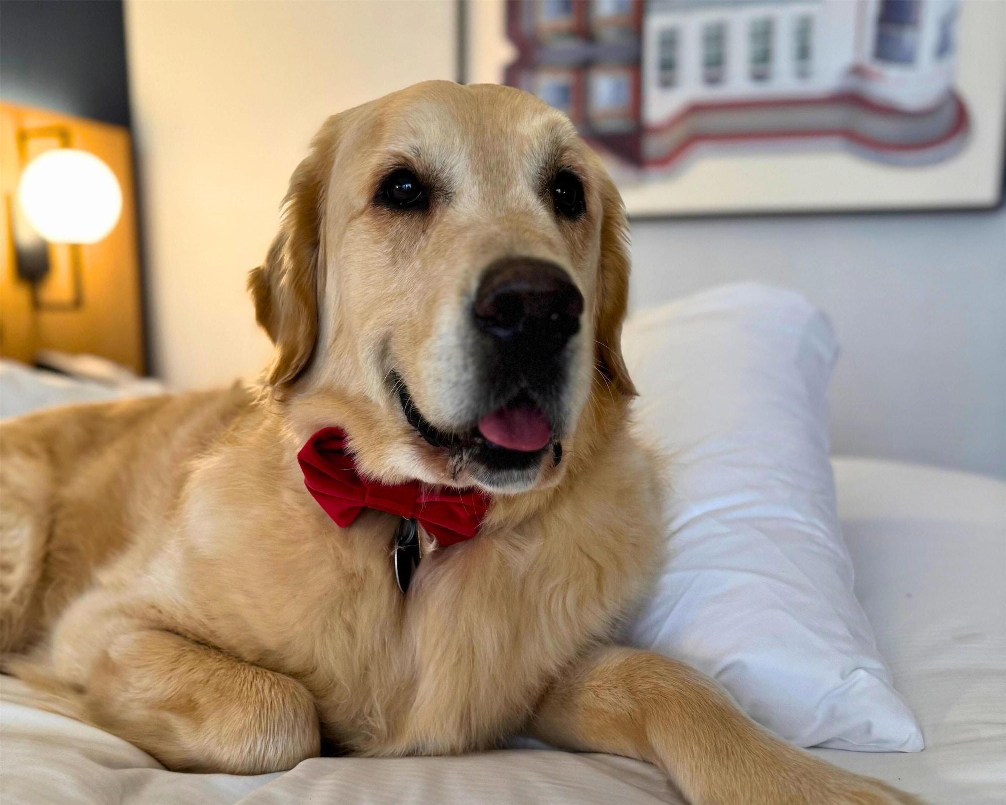 Habitación Hyatt Regency San Francisco