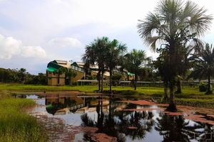 Actividad - Combo 3 días Isla Monos + Rio Nanay + Quistococha