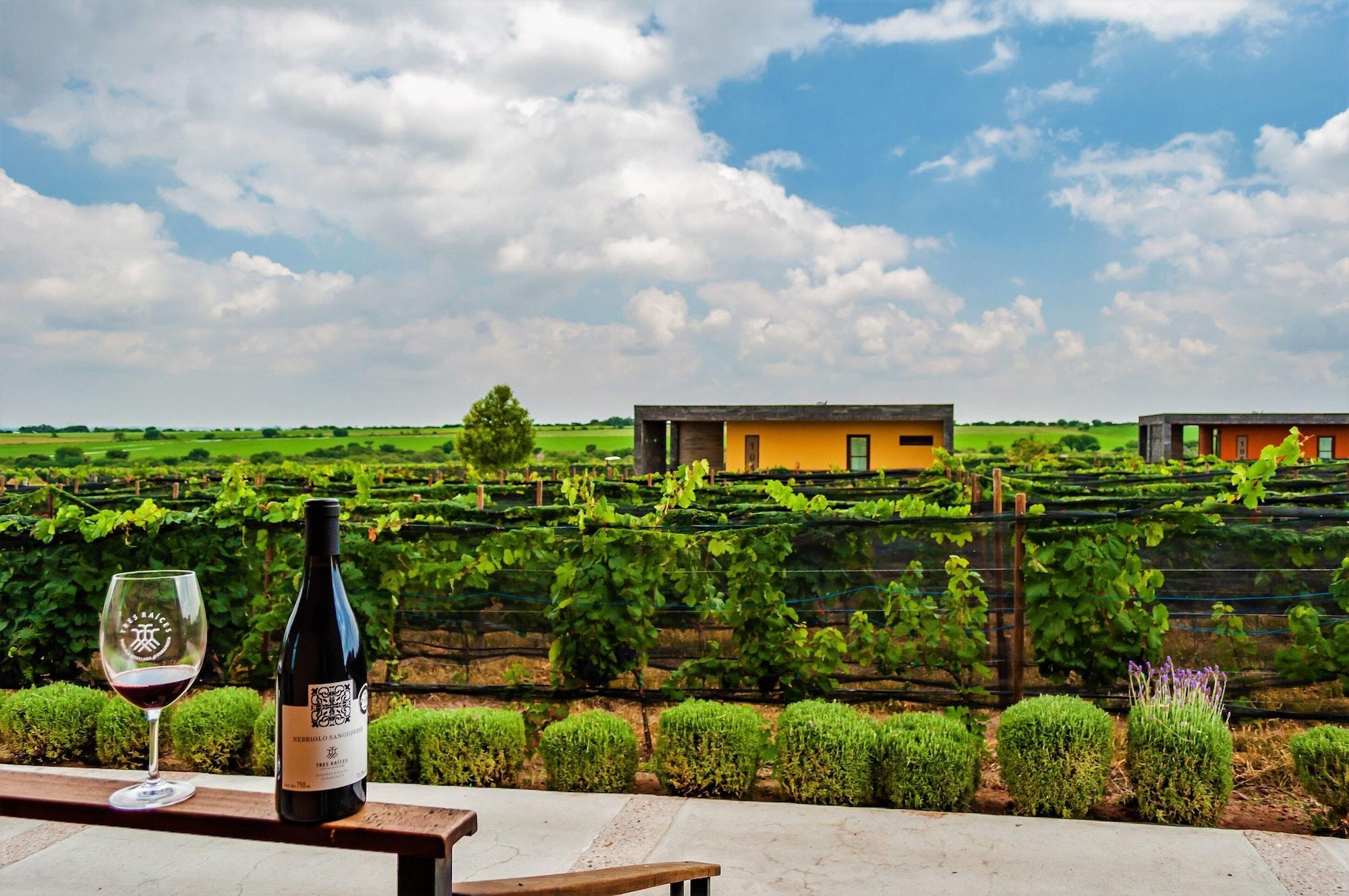 Vista Exterior Hotel Boutique Tres Raíces