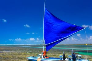 Actividad - Tour a playa Porto de Galinhas