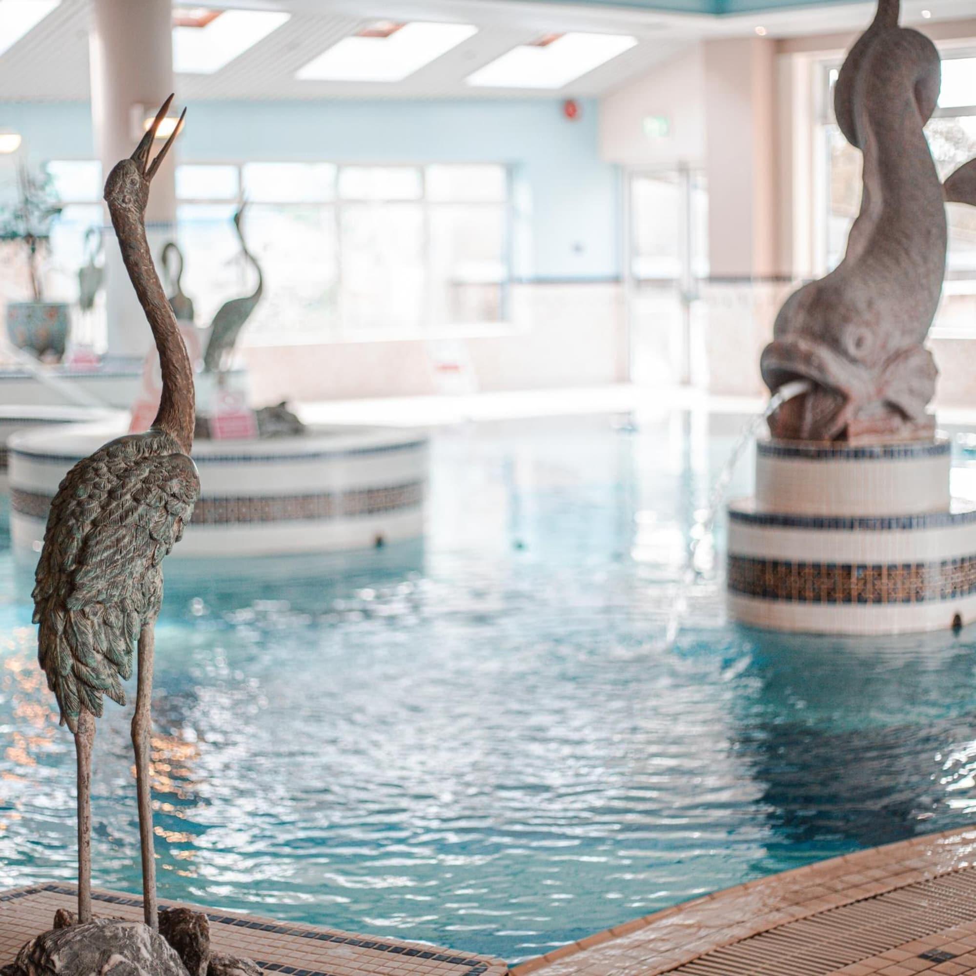 Vista Piscina Westlodge Hotel