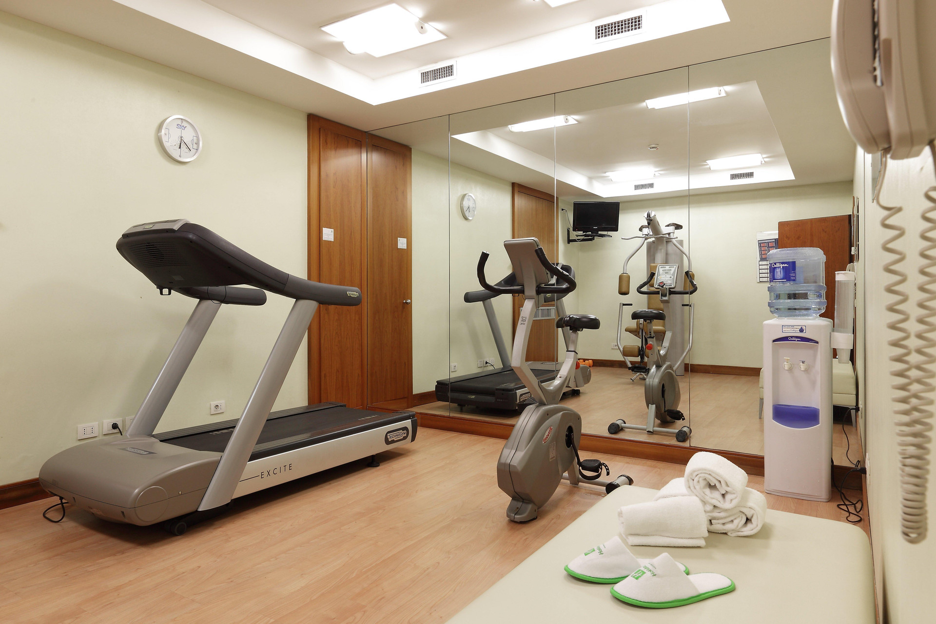 Instalaciones Recreativas Holiday Inn Milan Nord Zara by IHG