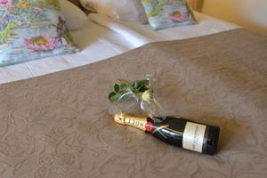 Alojamiento - Hotel Schilberg