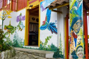 Actividad - Valle del Cocora Salento y Filandia