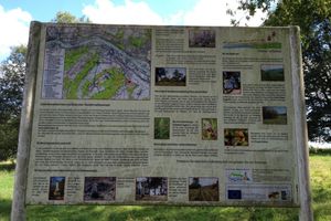 Alojamiento - Scheid's Hotel & Restaurant