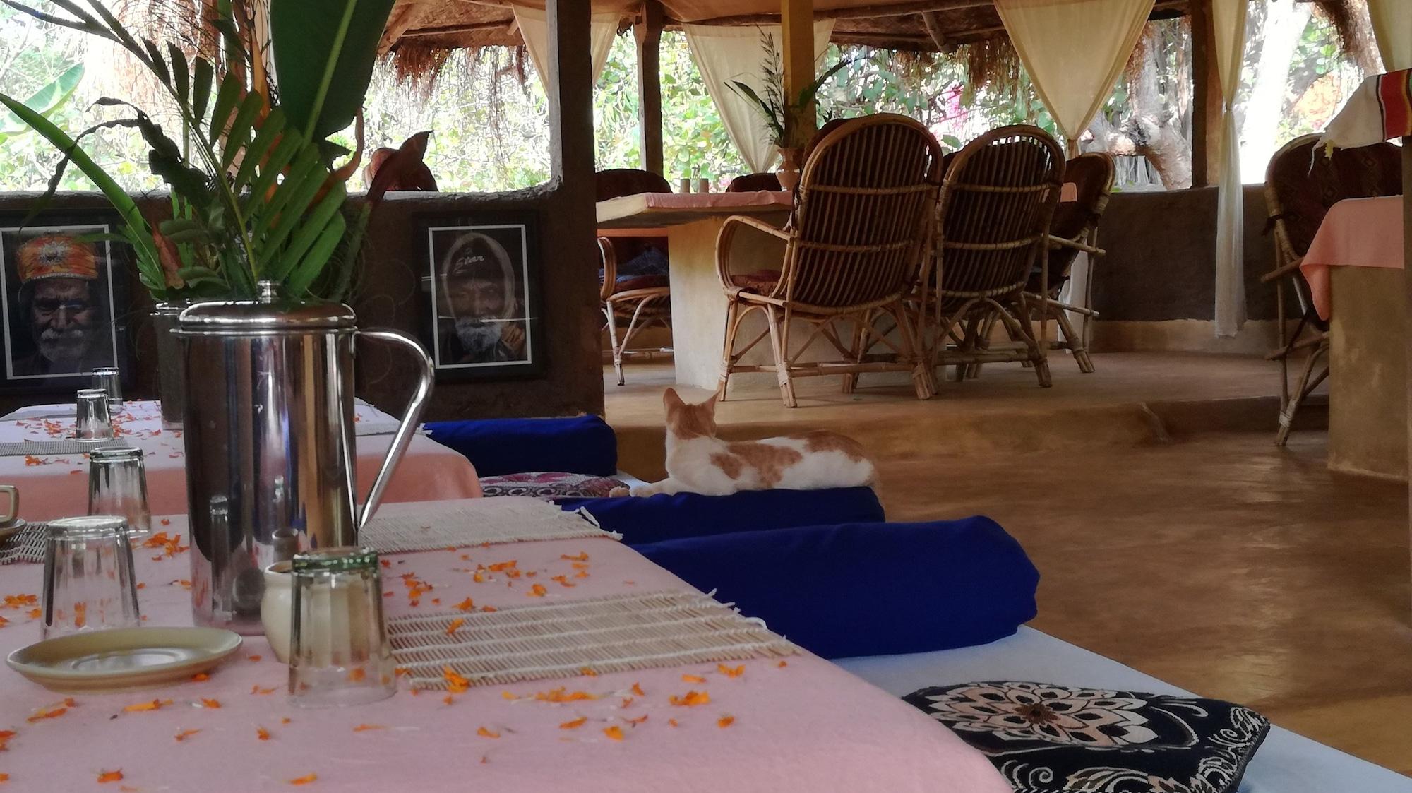 Bar/Salón Banyan Tree Yoga