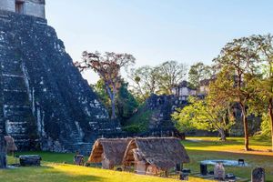 Actividad - Excursión a Tikal sin entradas