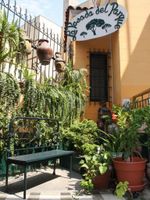 Alojamiento - La Posada del Parque