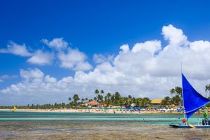 Actividad - Tour a playa Porto de Galinhas