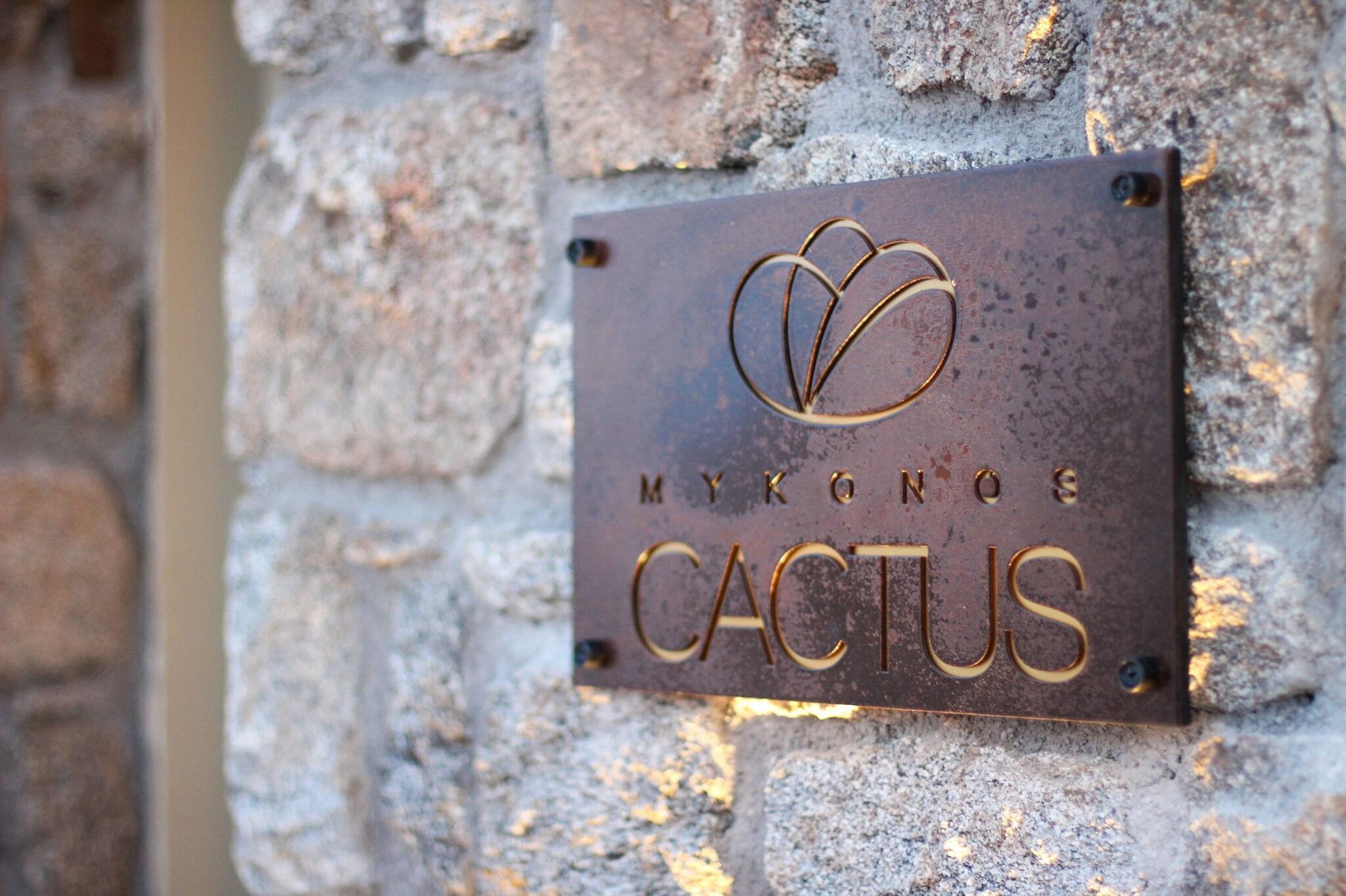 Vista Lobby Mykonos Cactus