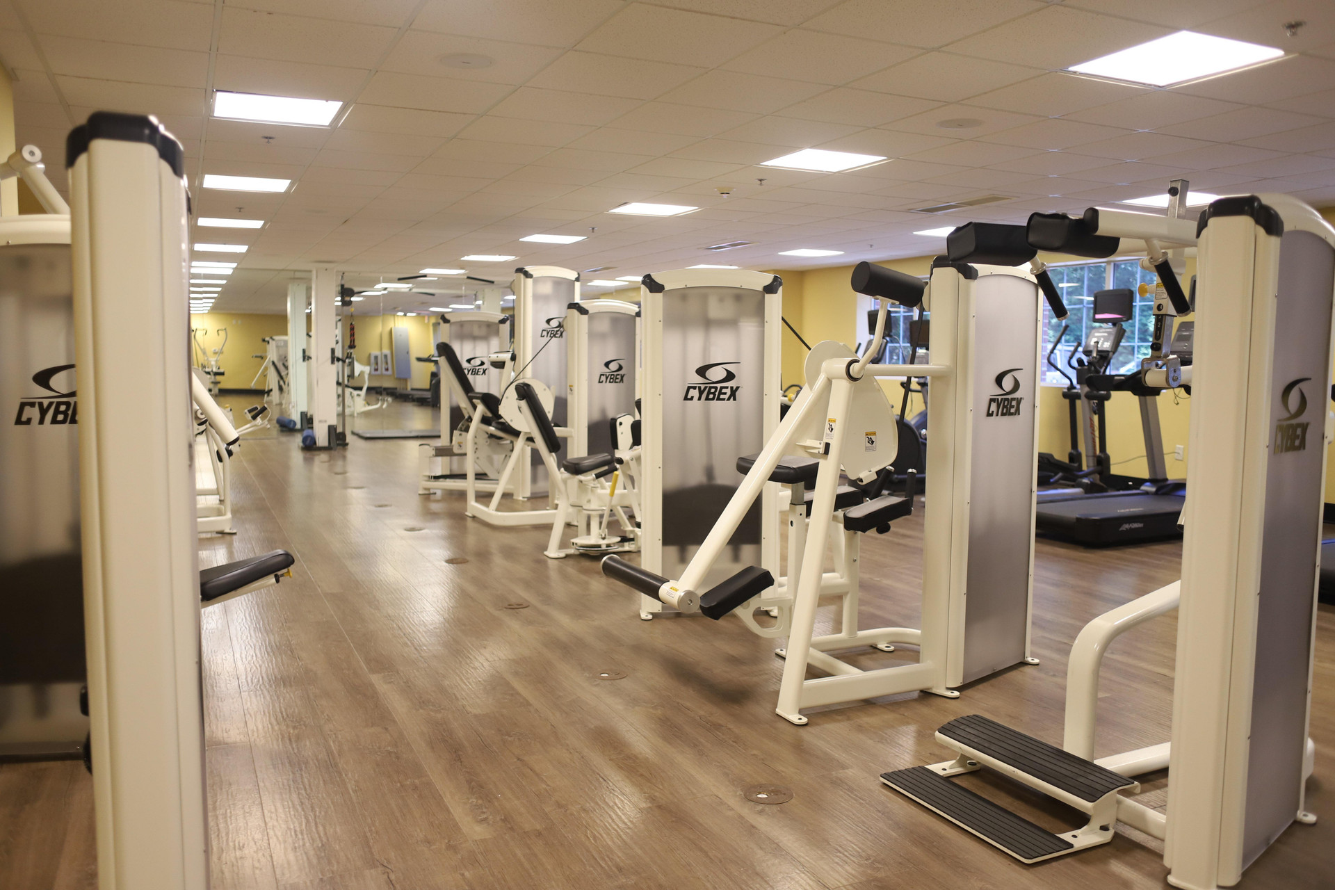 Instalaciones Recreativas Holiday Inn Express & Suites Charlottesville - Ruckersville, an IHG Hotel