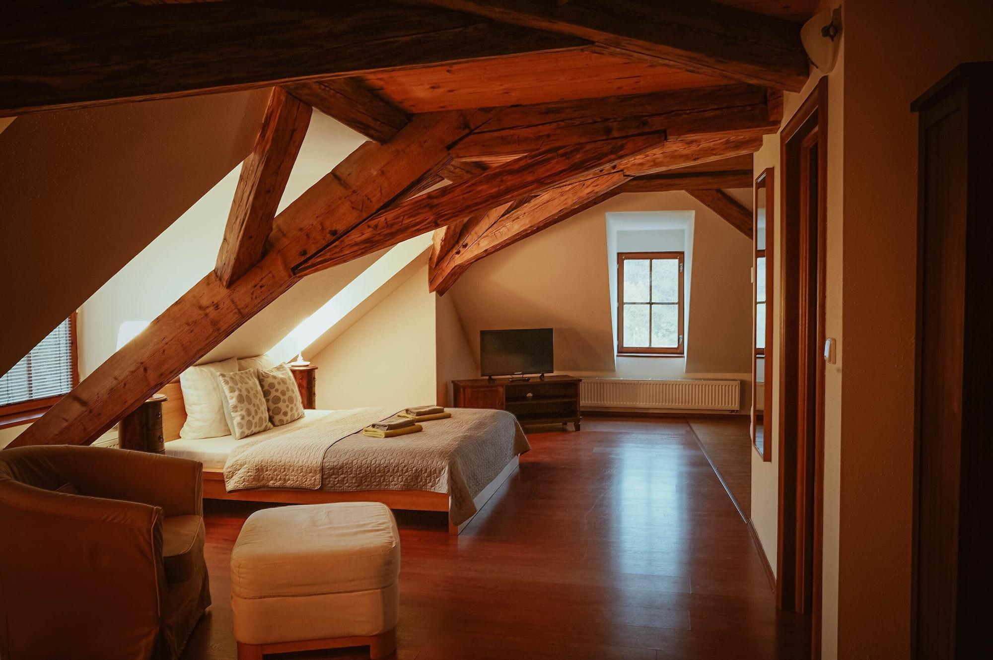 Varios Hotel Stein Elbogen