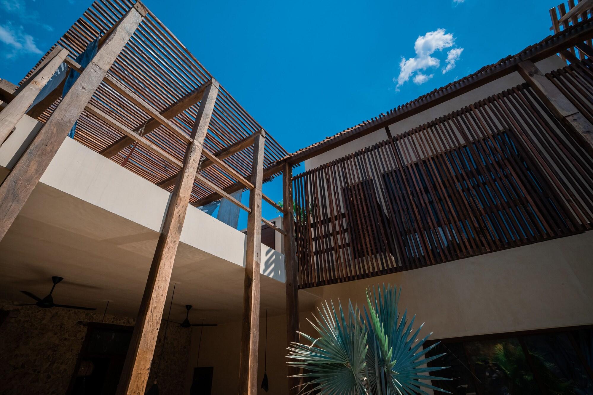Vista Exterior Japoneza Mandarina