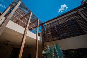 Alojamiento - Japoneza Mandarina