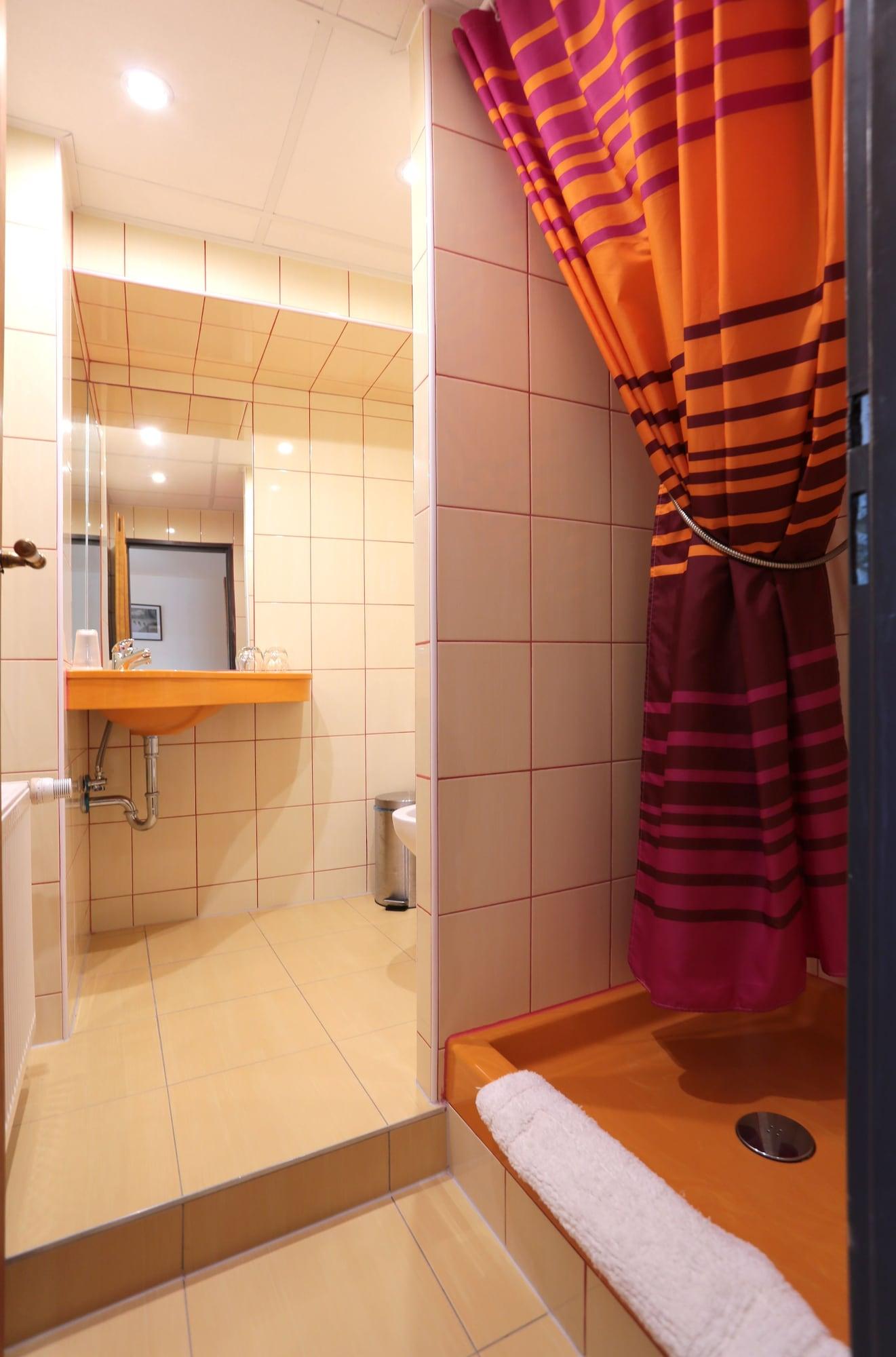 Equipamiento de Habitación Hotel Zelený Dům