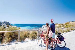 Actividad - Rottnest Express Perth con Barco de Aventura