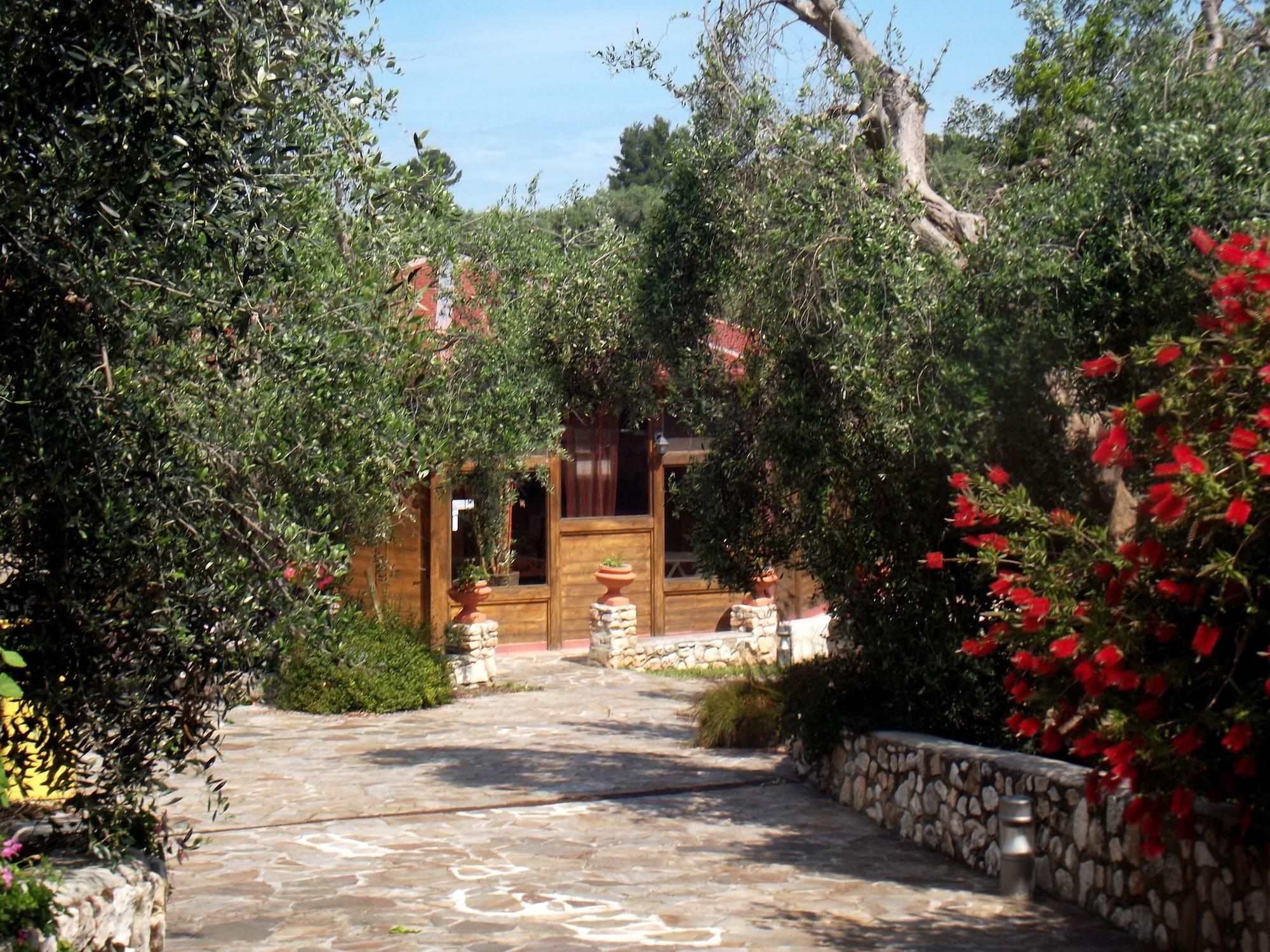 Vista Exterior Poggio degli Ulivi