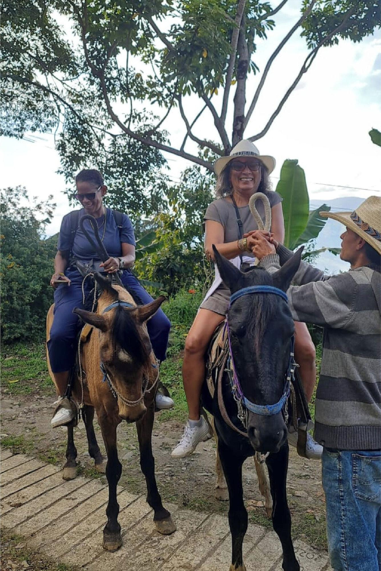 Vista Exterior Medellin Don leandro Coffee farm  Glamping
