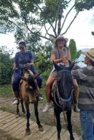 Alojamiento - Medellin Don leandro Coffee farm  Glamping
