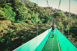 Actividad - Sky Walk desde Monteverde