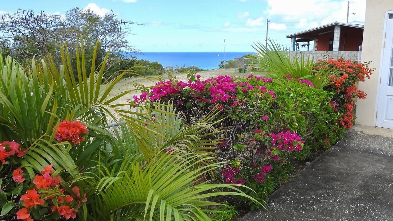 Comodidades del Alojamiento Winchelsea Guesthouse