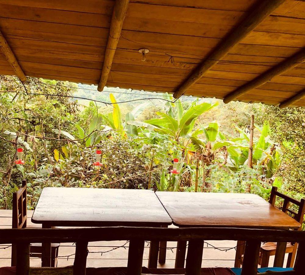 Restaurant El Edén Treehouse