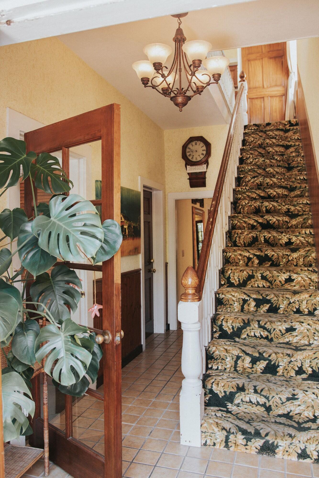 Vista Lobby Tropical Inn